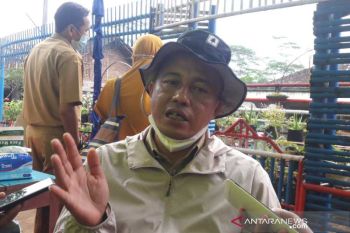 Selain bawang putih, Temanggung potensi kembangkan bawang merah