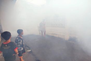Warga Pekalongan diminta waspadai DBD dan chikungunya
