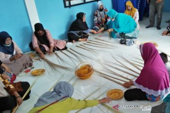 BRI sukses hantarkan Desa Kuala Alam Bengkalis jadi duta Desa BRILian