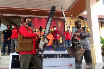 Polres Bengkalis bekuk komplotan pembalakan liar di Siak Kecil, begini penjelasannya