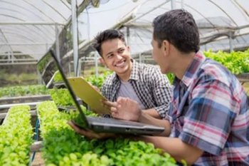 Tiga strategi bisnis buat milenial jatuh hati jadi pengusaha tani
