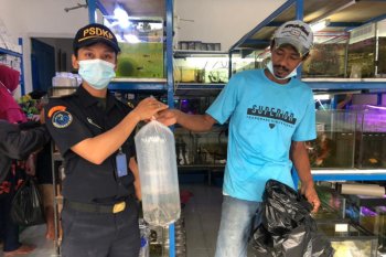 KKP amankan sebanyak 24 "ikan bajak laut" di Tarakan Kaltara