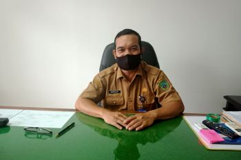 Pemkab Pasaman mencatat jumlah CPNS dan P3K mencapai 164 orang
