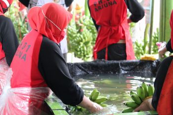 Disnaker Lampung dorong perusahaan bayar THR 7 hari sebelum hari raya