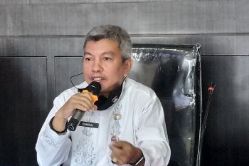 Pemkot Padang akan kembangkan ternak sapi perah di Taman Hutan  Bung Hatta