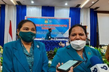 Ketua TP PKK Papua ajak perempuan 29 kabupaten/kota peringati Hari Kartini
