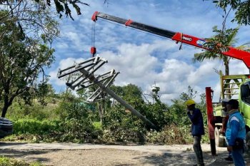 PLN pulihkan listrik 153 desa terdampak Seroja di Pulau Sumba