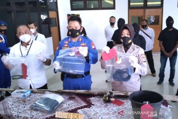 Polda DIY menetapkan tujuh tersangka penangkapan penyu lekang