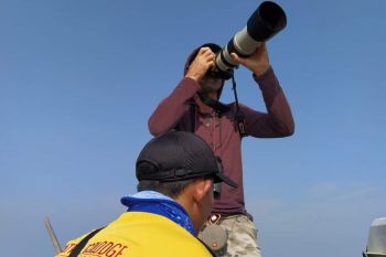 Disinggahi berbagai jenis burung migran, Pantai Mutiara Baru jadi lokasi pengamatan burung
