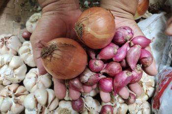 Disperindag Lampung siapkan lima titik pasar murah jaga stabilitas harga