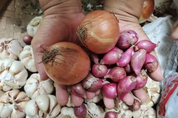 Lampung siapkan 5 titik pasar murah