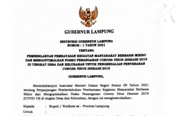 Pemprov Lampung tetapkan PPKM mikro bagi kabupaten dan kota