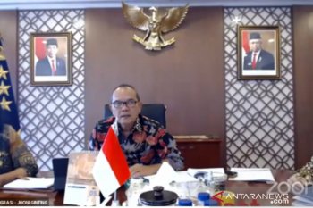 RI hentikan pengajuan visa untuk pelaku perjalanan asal India