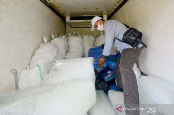 Bantuan Produk Ikan Sehat