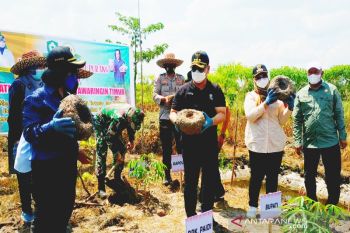 Kotim berambisi jadi penghasil porang terbesar di Indonesia