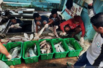 Aliansi Nelayan Natuna tolak kapal cantrang