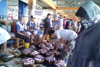 Cuaca mendukung hasil tangkapan nelayan di Makassar
