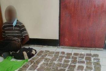 Polisi tangkap pengedar ganja warga negara PNG