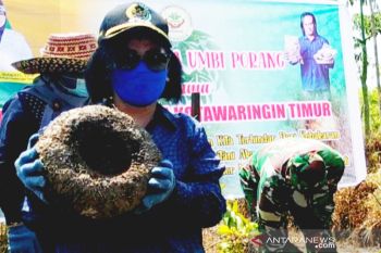 DPRD Kotim dukung optimalisasi pertanian tingkatkan kesejahteraan masyarakat