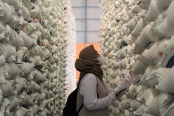 Bulog Lampung telah salurkan 50 ton beras selama operasi pasar