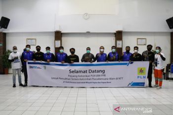 Tim relawan pemulihan listrik PLN di NTT kembali ke Papua