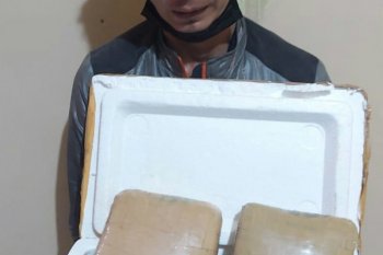 Polda Lampung gagalkan transaksi ganja seberat empat kilogram