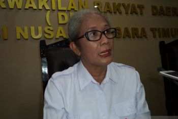 PDIP NTT  ikut dalam PSU di Sabu Raijua