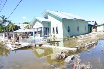 Pemkab Kupang sebut kerugian akibat seroja capai Rp1,3 triliun