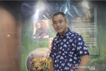 72 SPBU tersebar di sebelas kabupaten dan kota di Jambi terdigitalisasi