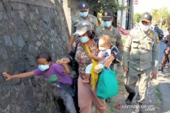 Satpol PP Denpasar tertibkan puluhan gelandangan dan pengamen