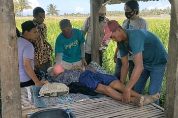 Warga Pringgasela Lotim digegerkan temuan mayat di pematang sawah