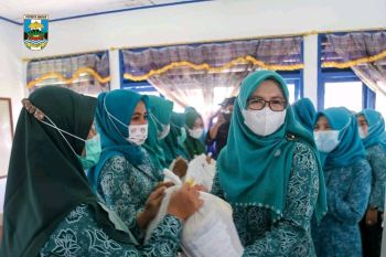 Ketua TP-PKK Kabupaten Pesisir Barat serahkan bantuan kepada masyarat di dua kecamatan
