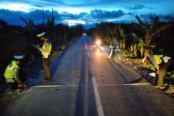 Kecelakaan tragis di Toili,  kepala korban terpenggal dilindas truk