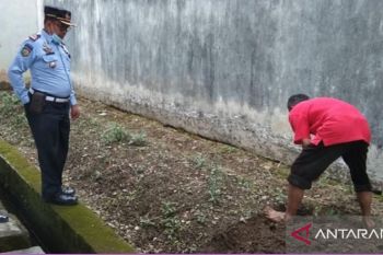 Di Lapas ini  warga binaan pemasyarakatan diajar bercocok tanam dan memelihara ikan