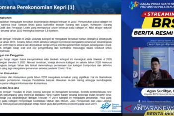 Ekonomi Kepri triwulan I-2021 alami kontraksi 1,19 persen