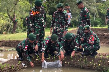 Satgas Pamtas gandeng Pemda TTU tebar ribuan ekor bibit ikan nila