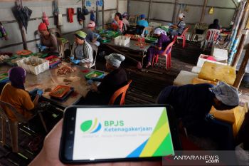 142.593 pekerja terdampak COVID-19 di Kepri