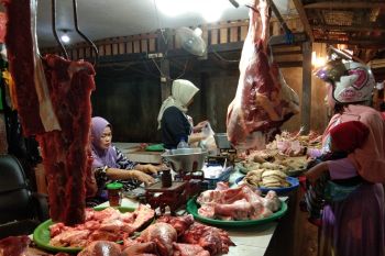 Bulog Kalteng jamin ketersediaan daging beku untuk Lebaran