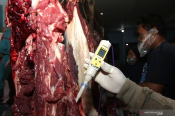 Sidak Daging Jelang Lebaran
