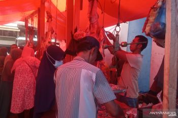 Sebanyak ini kebutuhan sapi di Agam selama Ramadhan-Idul Fitri 1442 H