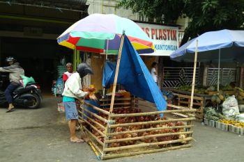 Pedagang musiman picu munculnya pasar tumpah di Makassar