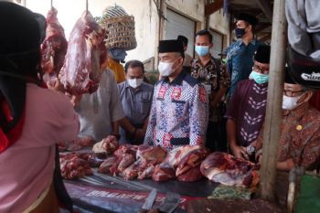 Distan: H-2 lebaran pemotongan sapi di RPH Mataram normal