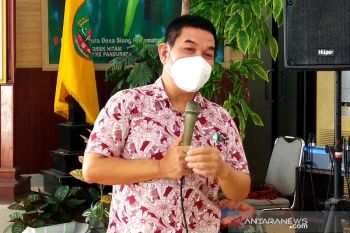 Produksi jagung untuk tingkatkan suplai pakan ternak ayam petelur di Bartim