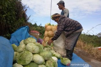 Kembali Bekerja