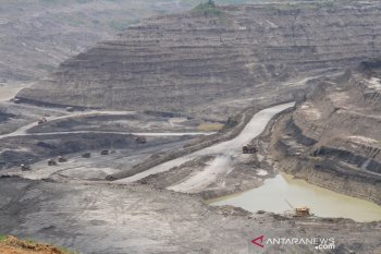 Aktivis minta pemerintah berantas mafia batu bara di Kalimantan Timur