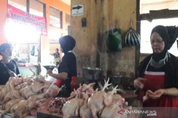 Harga daging di Temanggung bertahan tinggi