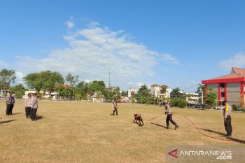 Polda  siapkan anjing K9 amankan PSU Sabu Raijua