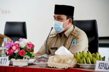 Optimalkan pengembangan sektor pertanian dan perkebunan di Lamandau