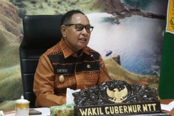 Wagub NTT: DTH telah disalurkan bagi 6.488 KK