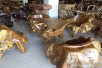 Dinas Koperasi Baubau komitmen jaga pelaku usaha agar tetap eksis
